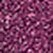 503 Neon Prune